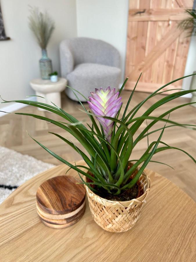 Amsterdam Beach Apartment 33, Private Garden ザントフォールト エクステリア 写真